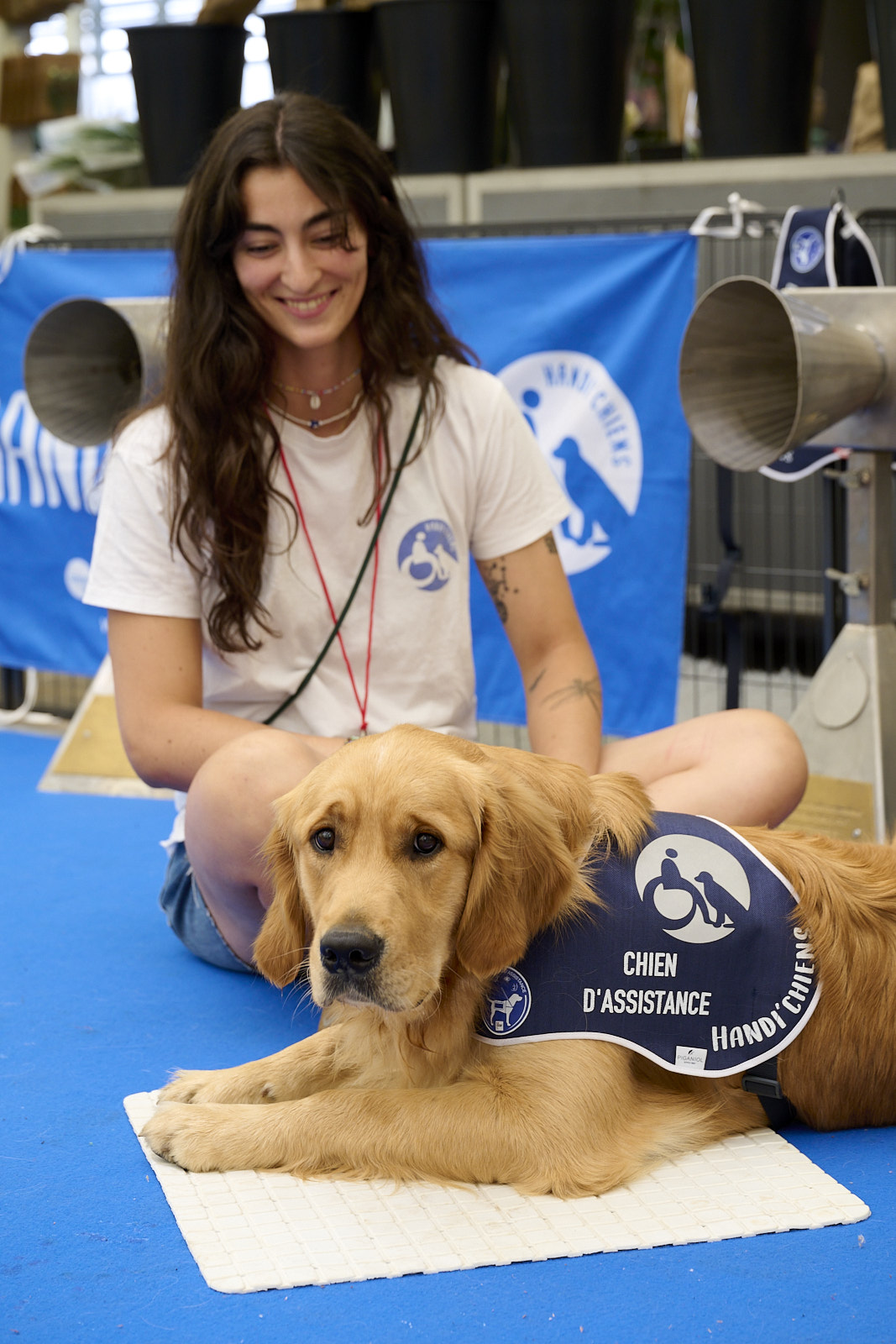 Une éducatrice HANDI'CHIENS avec un chien en formation