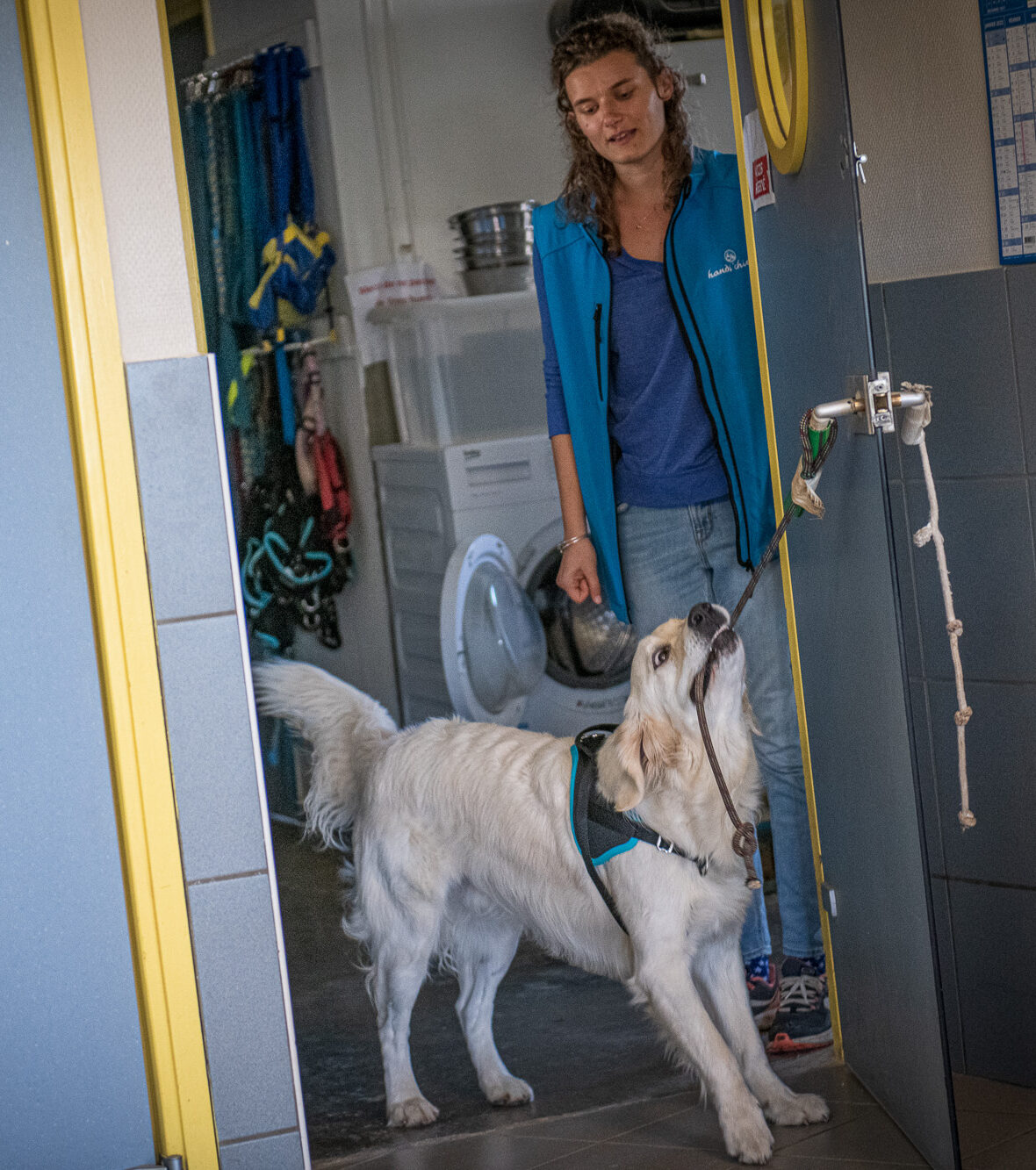 Appolonie, éducatrice HANDI'CHIENS, travaille avec un chien d'assistance un tug pour fermer une porte
