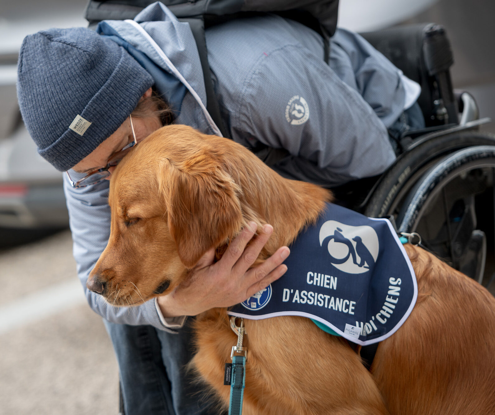 chien d'assistance HANDI'CHIENS avec son bénéficiaire