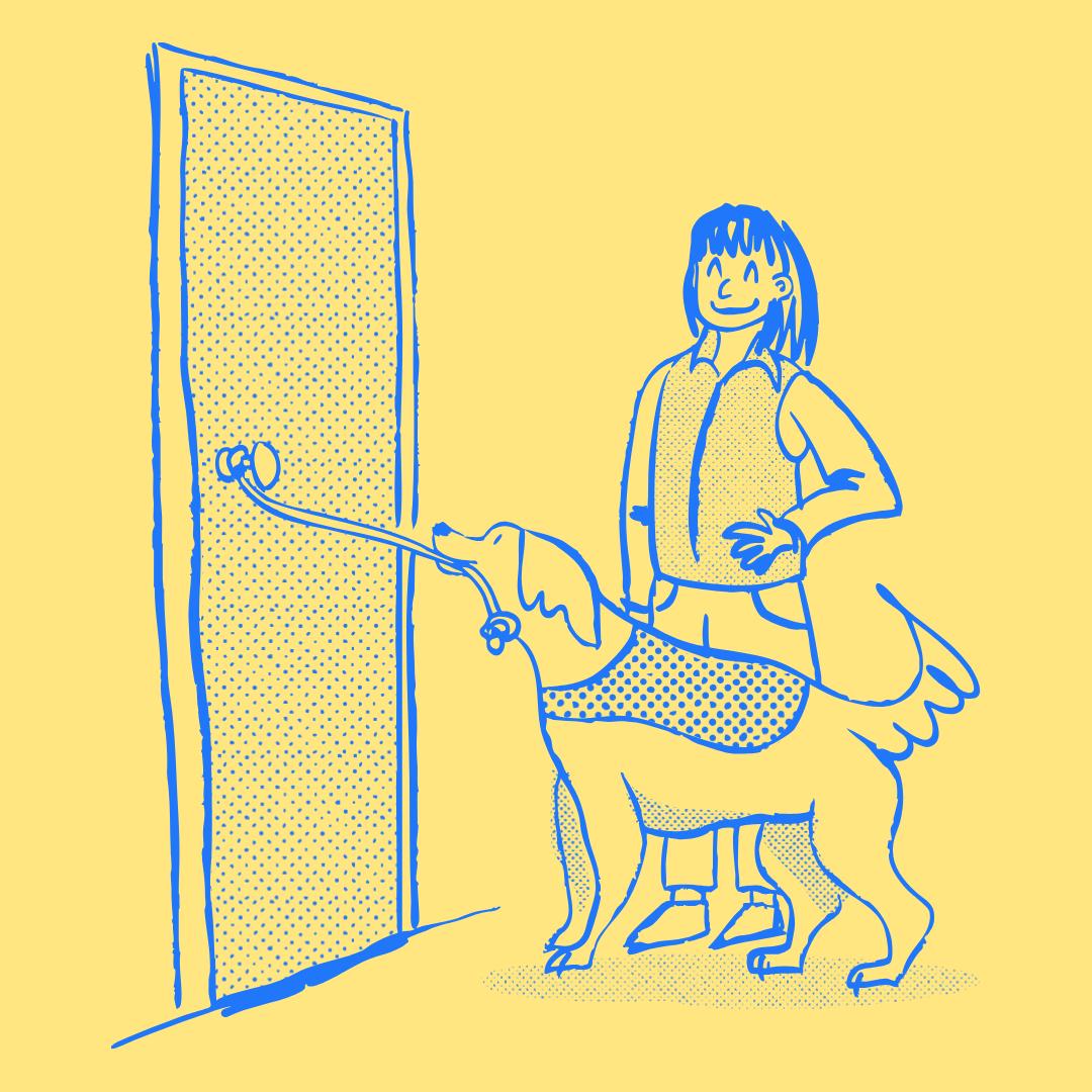 Educateur chien d'assistance