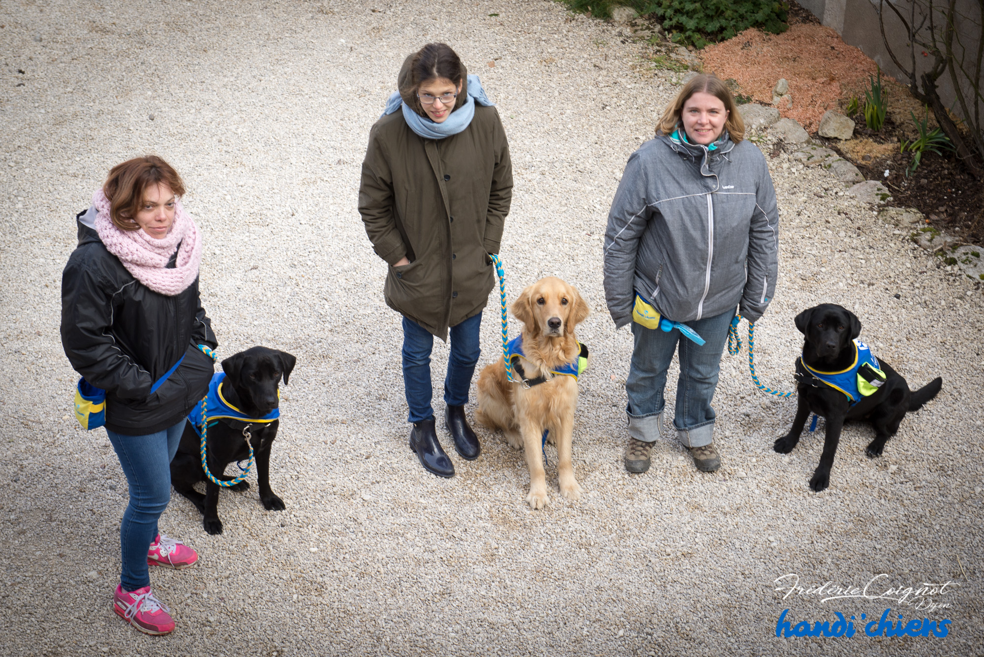 Première promotion HANDI'CHIENS de chiens d'assistance pour personnes épileptiques