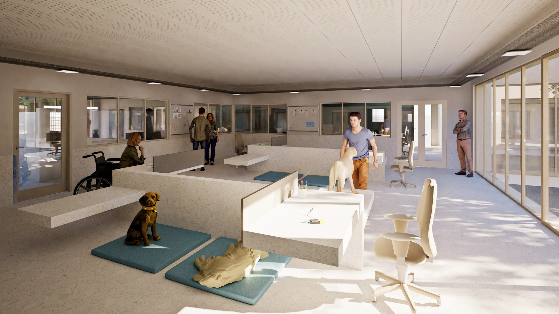 Centre HANDI'CHIENS PACA, salle de travail