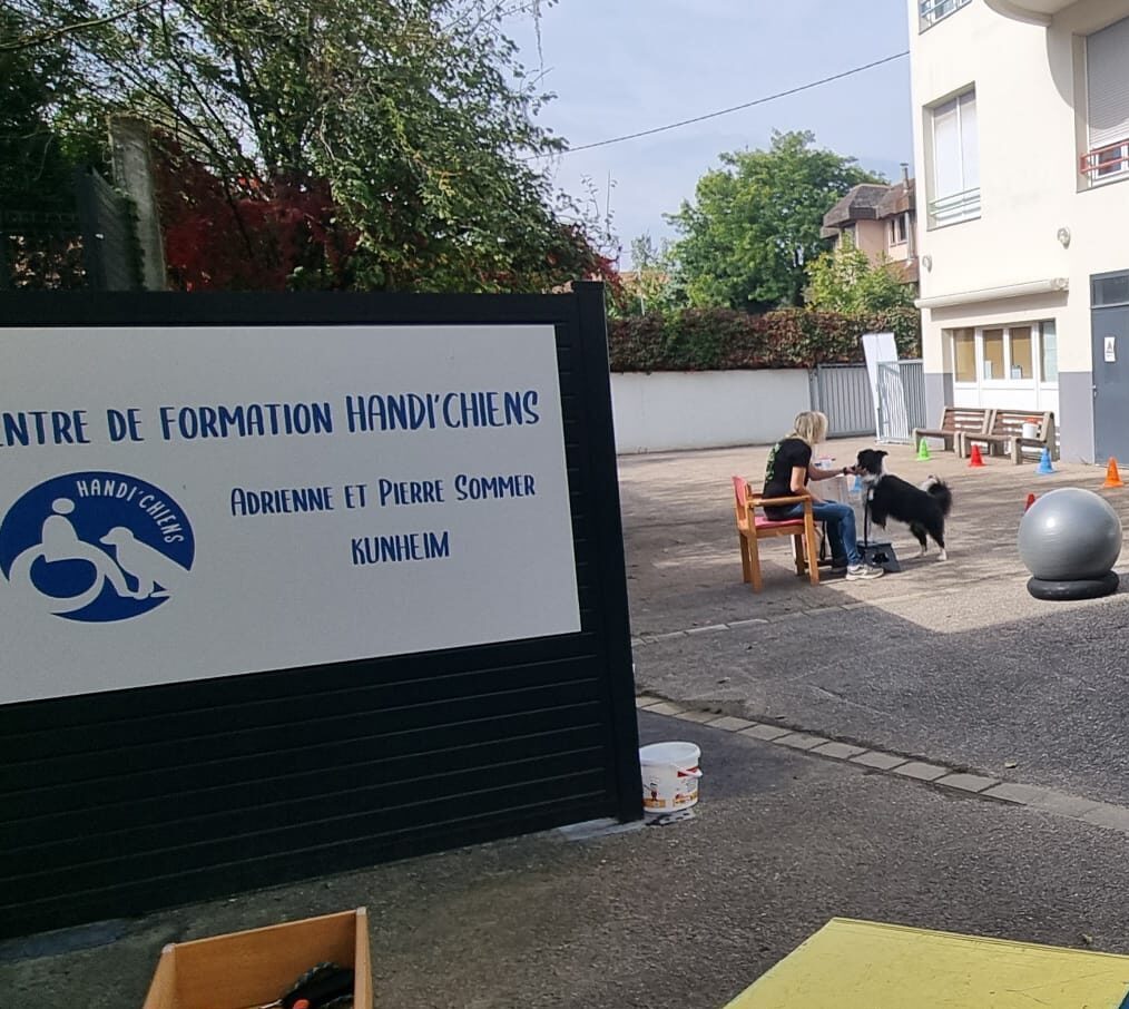 Organisme de formation HANDI'CHIENS - Alsace