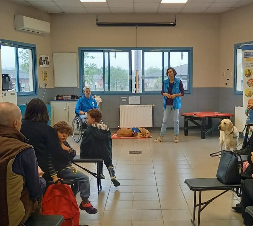 Centre HANDI'CHIENS Lyon, Rhône