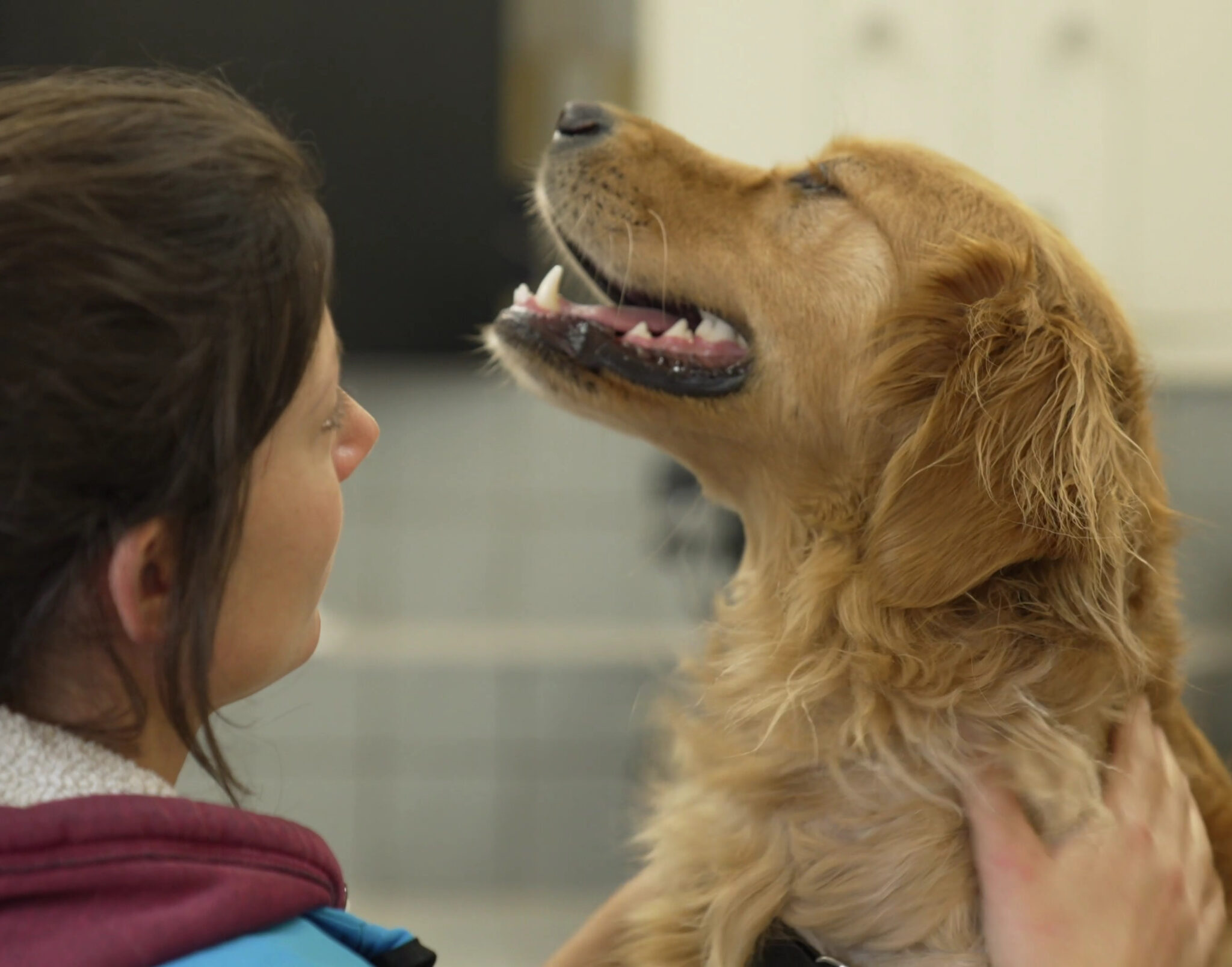 Célia, éducatrice HANDI'CHIENS