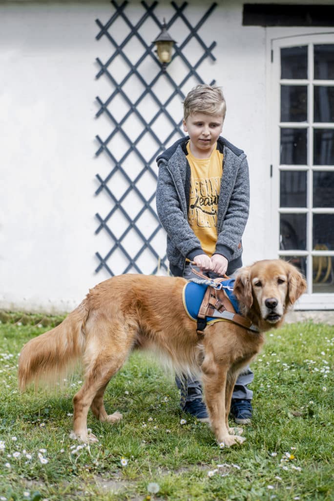 Romain avec Irlande, sa golden Handi'Chiens