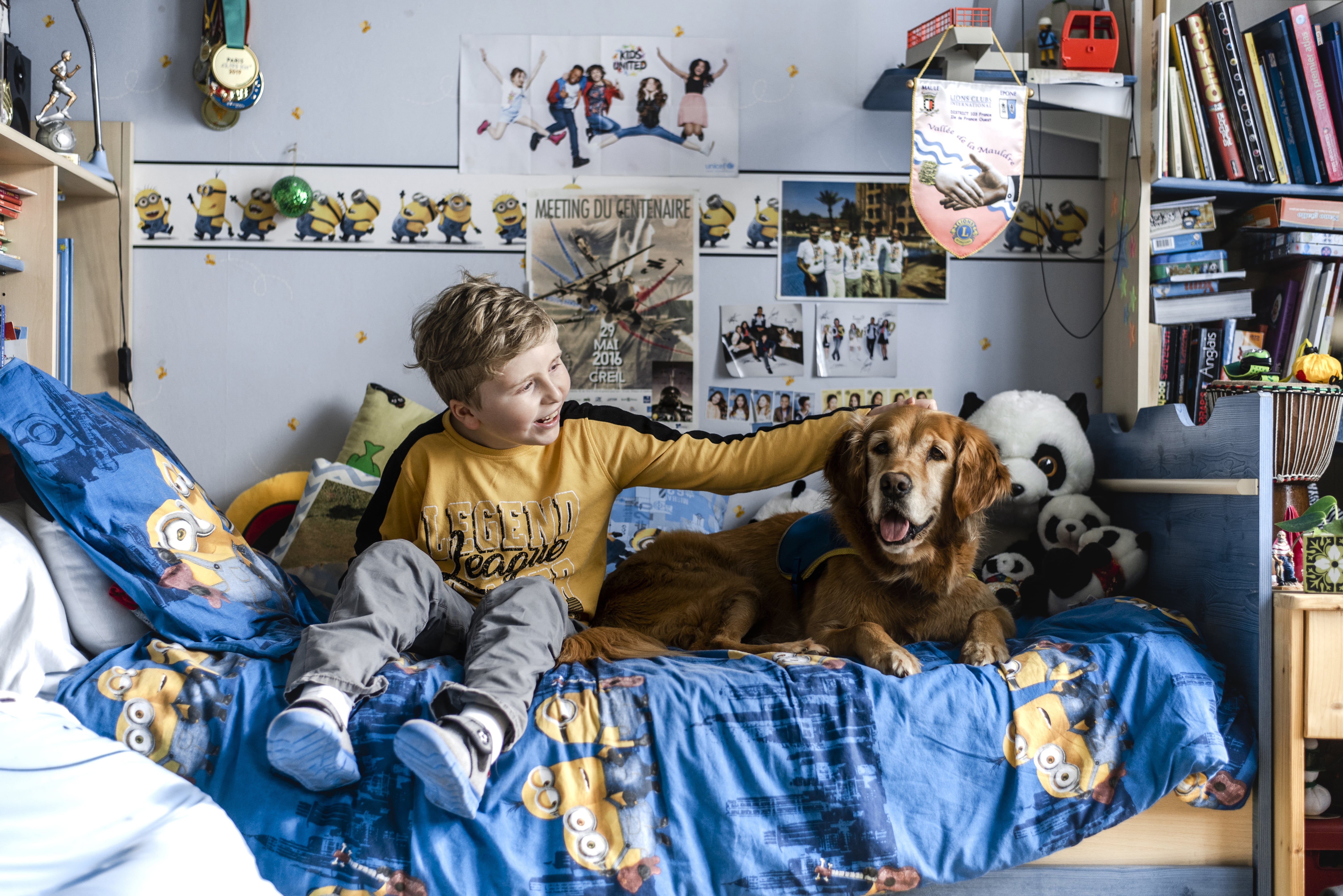 Romain et Irlande, golden HANDI'CHIENS