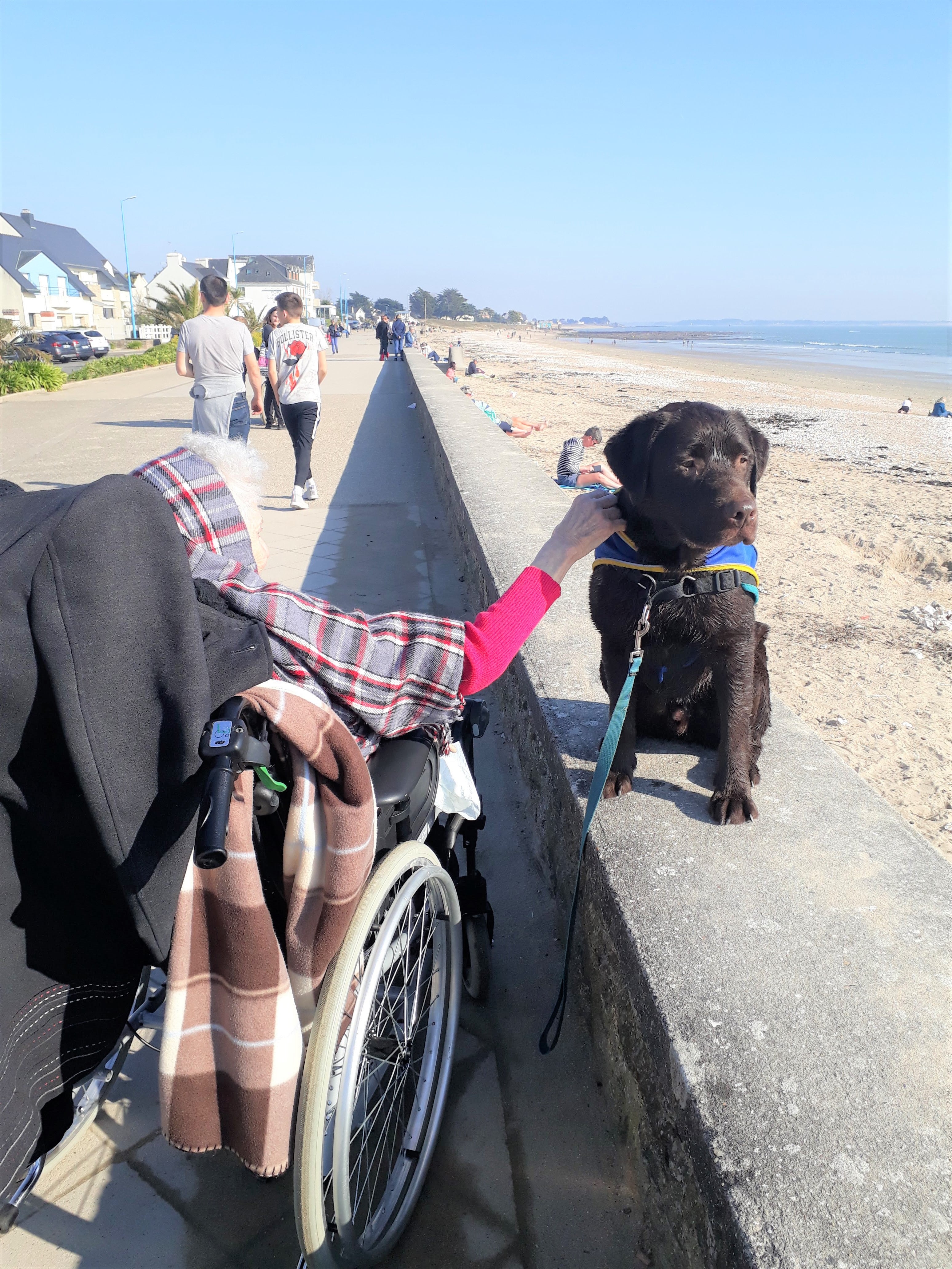 Jaurès, Handi'Chiens,en ballade à la mer avec une résidente