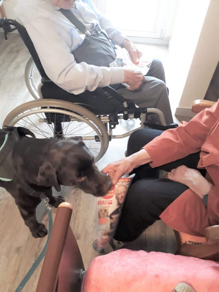 Jaurès, Handi'Chiens,amène un magasine à une résidente