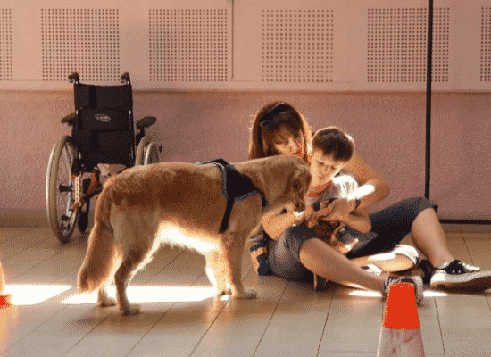 Pierrick et Olly, stage de remise HANDI'CHIENS Lyon