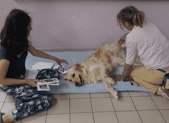 Emma et Ondine, stage de remise centre HANDI'CHIENS Lyon