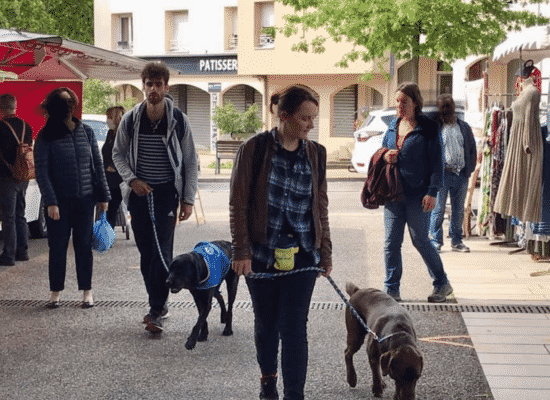 Oxford et Olympe, stage de remise accompagnement social, Centre HANDI'CHIENS Lyon