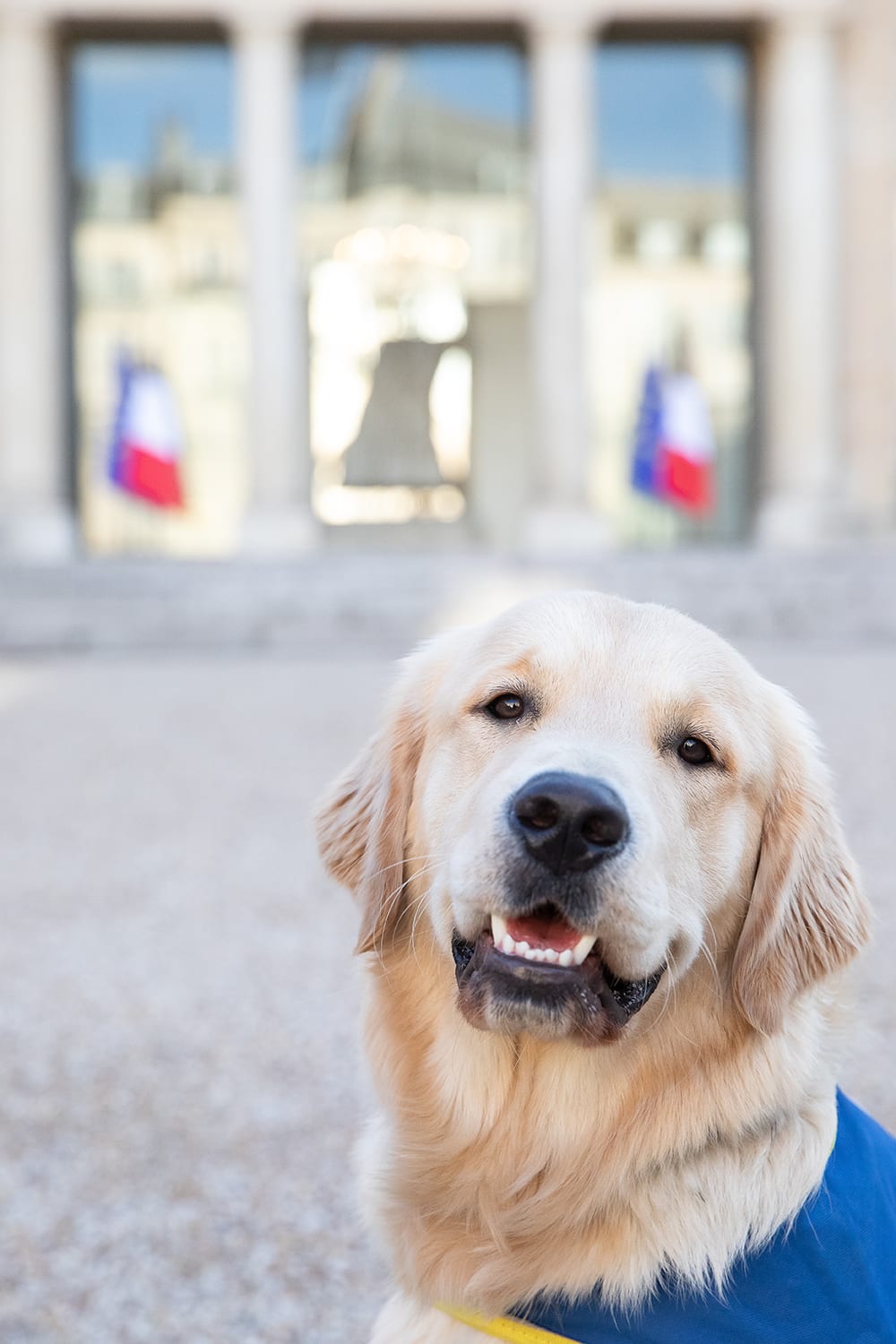 Sherlock à l'Elysée