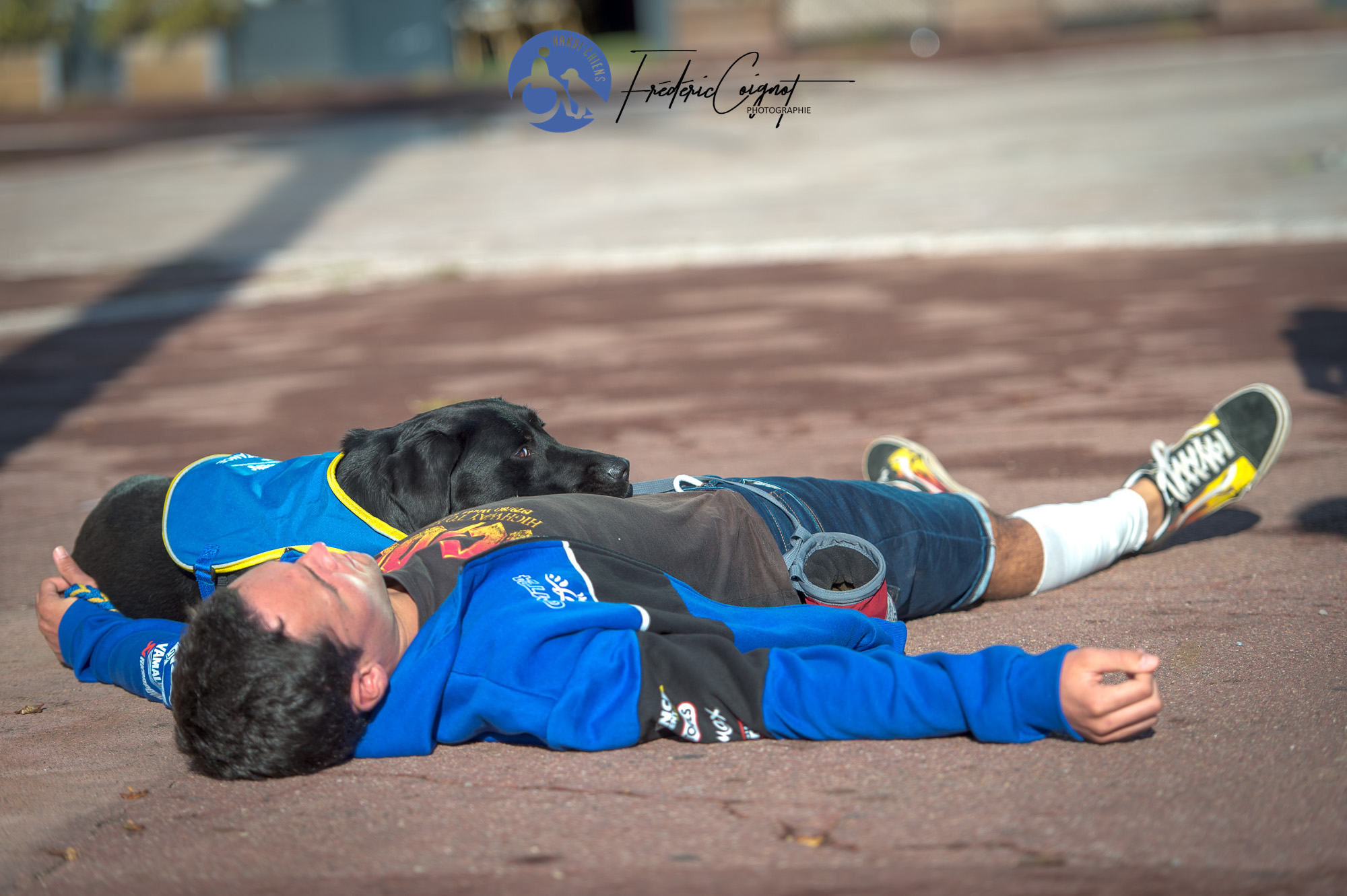 Chien d'assistance pour personne épileptique