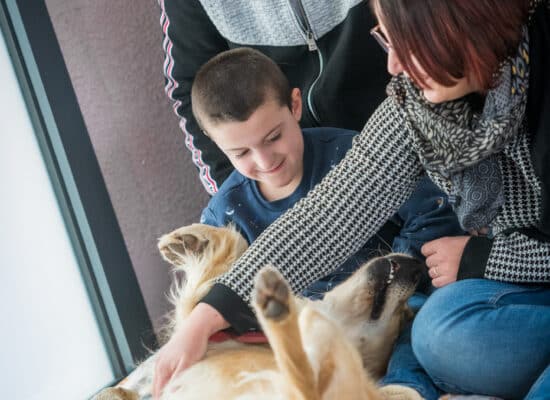 © Frédéric Coignot - Stage HANDI'CHIENS Lyon - Avril 2023 -