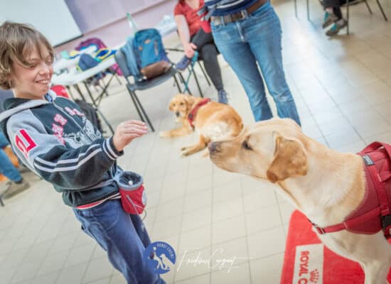 © Frédéric Coignot - Stage HANDI'CHIENS Lyon - Avril 2023 -