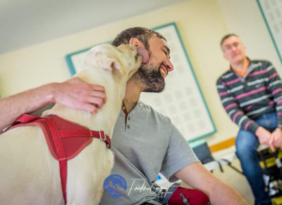 © Frédéric Coignot - Stage HANDI'CHIENS Lyon - Avril 2023 -