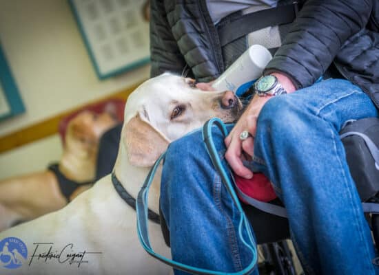 © Frédéric Coignot - Stage HANDI'CHIENS Lyon - Avril 2023 -