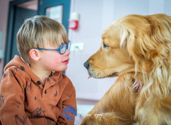 © Frédéric Coignot - Stage HANDI'CHIENS Lyon - Avril 2023