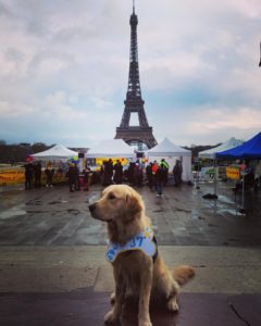 @les_aventures_de_sherlock