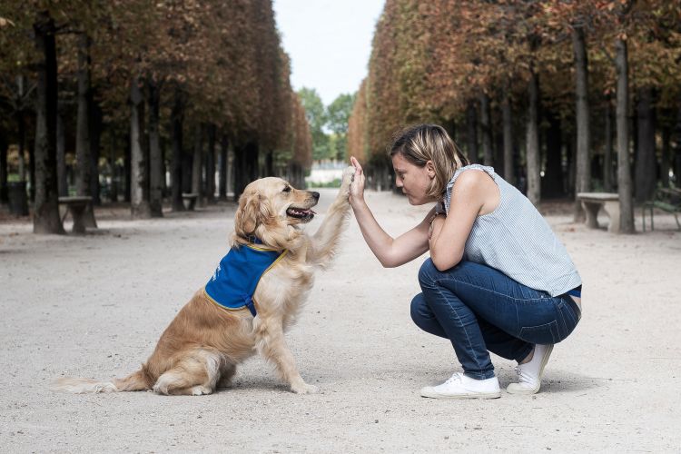 Obelle, chien d'assistance d'accompagnement social, et Laurie sa référente, médecin