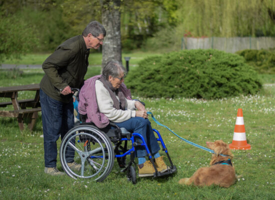 © Marie Sentier - Stage HANDI'CHIENS Val-de-Loire - Avril 2023