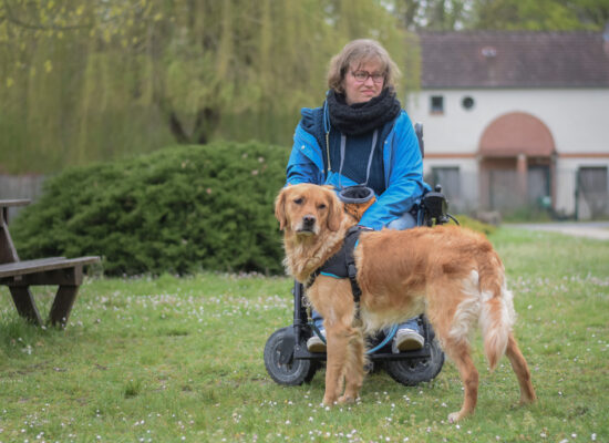 © Marie Sentier - Stage HANDI'CHIENS Val-de-Loire - Avril 2023