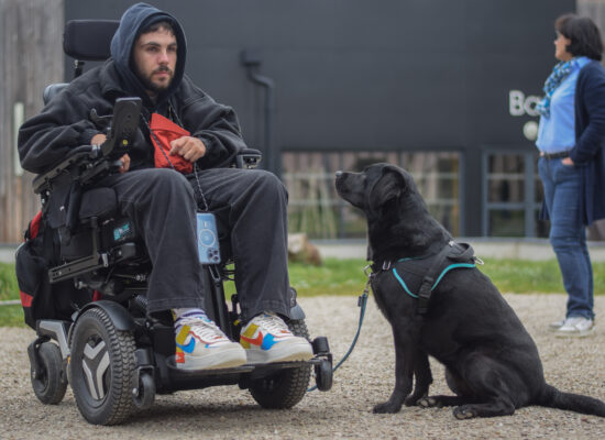 © Marie Sentier - Stage HANDI'CHIENS Val-de-Loire - Avril 2023