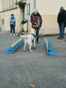 Démonstration HANDI'CHIENS à Bar-le-Duc.