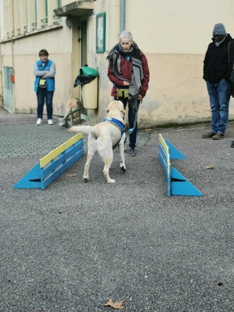 Démonstration HANDI'CHIENS à Bar-le-Duc.