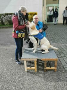 Démonstration HANDI'CHIENS à Bar-le-Duc.