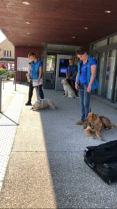 IMG-20220507-WA0038