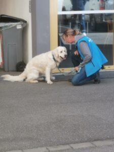 IMG_20220418_170123