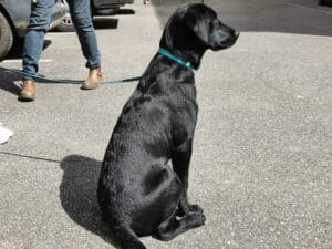 IMG_20220419_151650