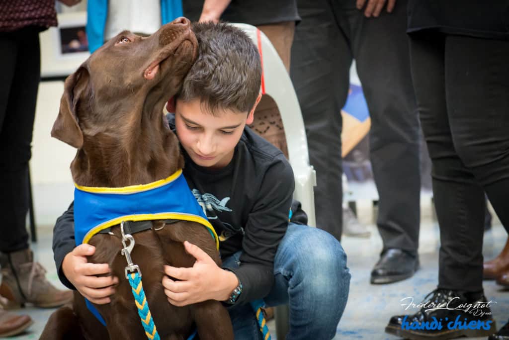 Un enfant est accroupi au côté de son chien d'éveil, le regard apaisé. tous droits réservés, Frédéric Coignot