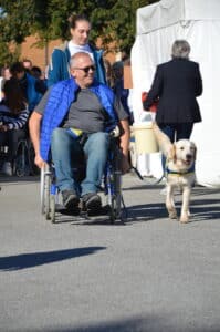 Centre HANDI'CHIENS Alençon