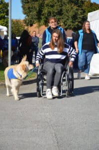 Centre HANDI'CHIENS Alençon