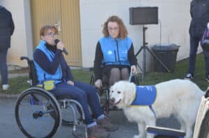 Centre HANDI'CHIENS Alençon