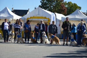 Centre HANDI'CHIENS Alençon