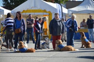 Centre HANDI'CHIENS Alençon