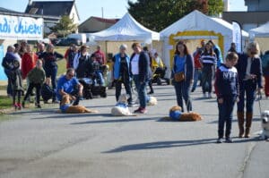 Centre HANDI'CHIENS Alençon