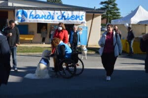Centre HANDI'CHIENS Alençon