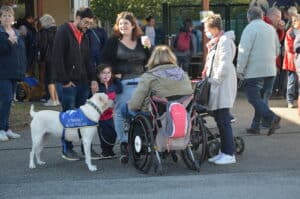 Centre HANDI'CHIENS Alençon