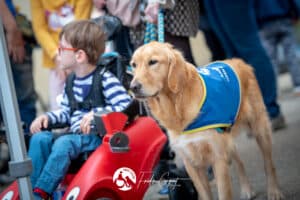 Centre HANDI'CHIENS Lyon