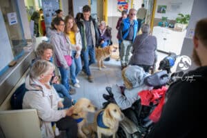 Centre HANDI'CHIENS Lyon