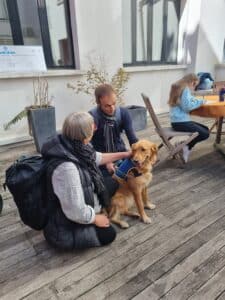 Maison HANDI'CHIENS - MALAKOFF