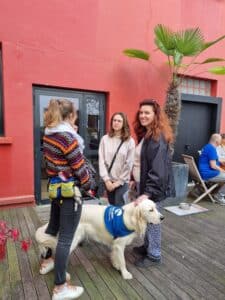 Maison HANDI'CHIENS - MALAKOFF