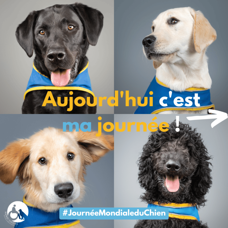 Journeemondiale du chien 22 (1)