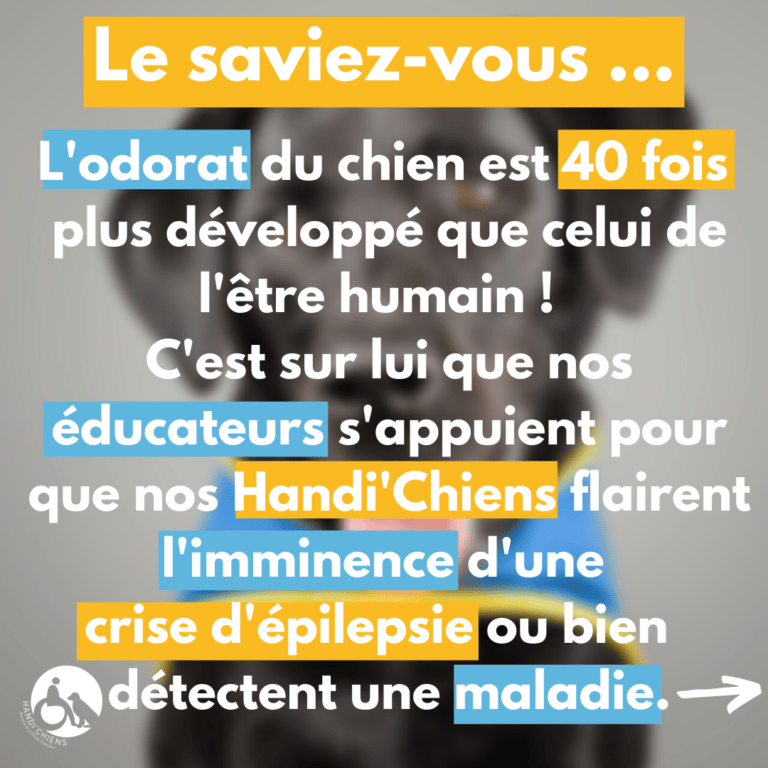 Journeemondiale du chien 22 (2)