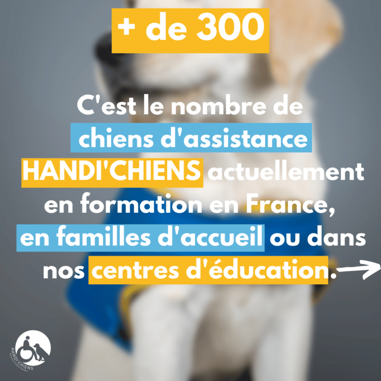 Journeemondiale du chien 22 (3)
